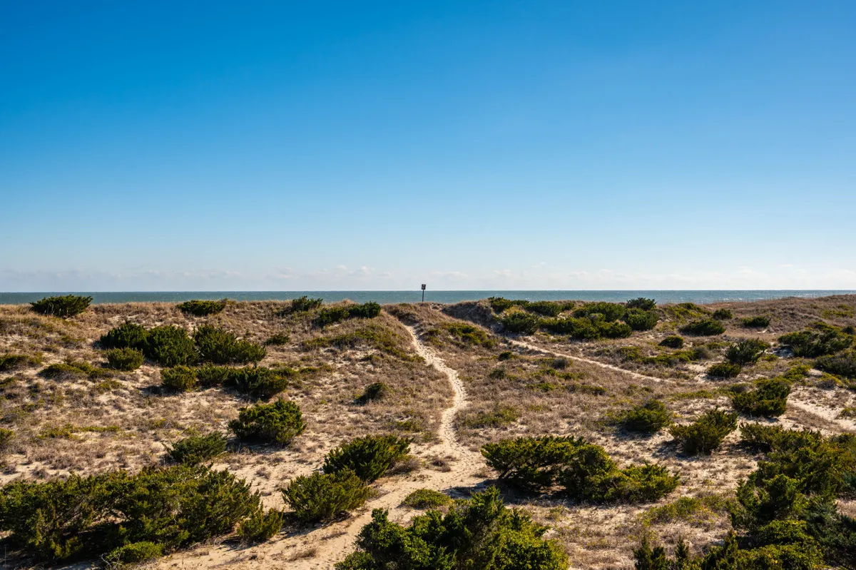 A sandy pathway winds through natural dunes towards the beach, bordered by sea grass and framed by a vivid blue sky. The expansive scene captures the untouched beauty of the coastline and the serenity of the natural environment.