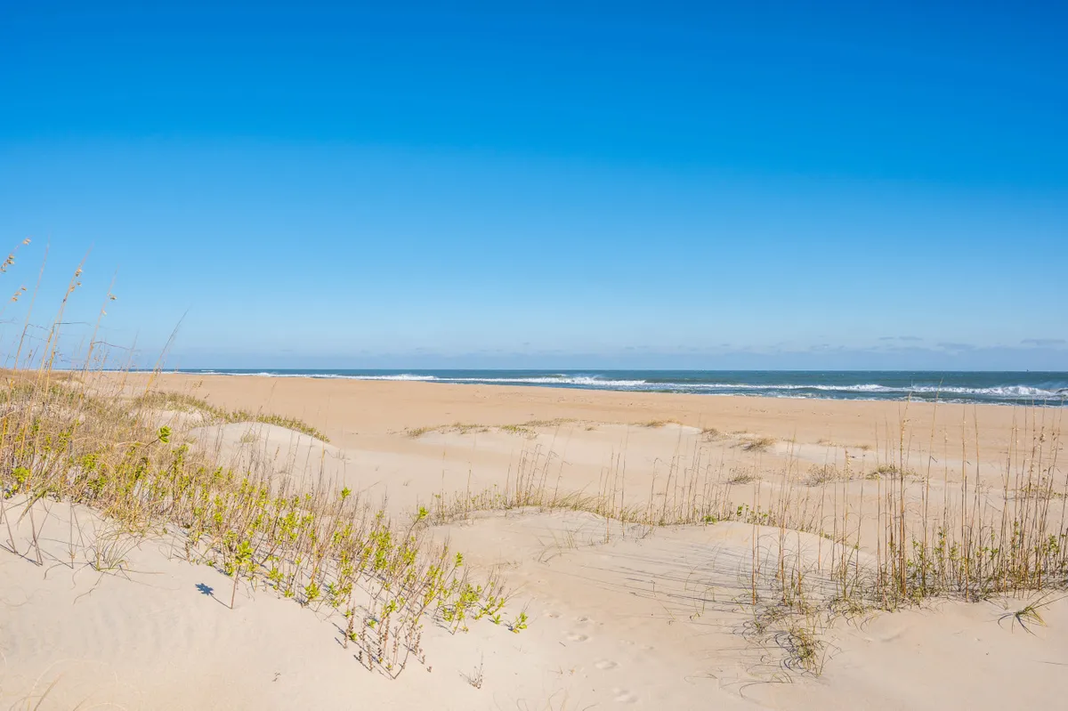 A sun-drenched sandy beach with gentle ocean waves rolling in, bordered by tufts of dune grass beneath a clear blue sky. Families and children are seen building sandcastles, sunbathing, and collecting seashells along the shoreline, capturing the lively and playful spirit of a beach day.