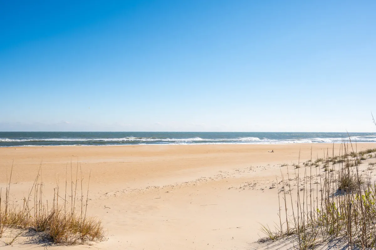 A peaceful stretch of sandy beach bordered by dune grass and the rolling ocean. The sky is clear and the shore is inviting, with plenty of space for walks or play. The natural dunes and beach terrain are ideal for dog-friendly strolls along the water’s edge.